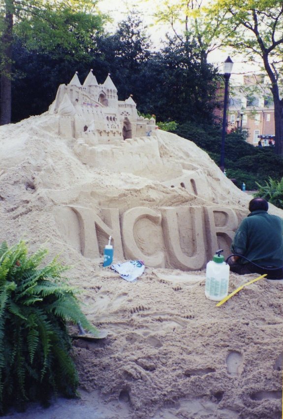 NCUR '98 Sandcastle