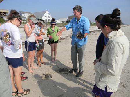 Looking at creatures