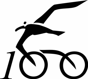 Seagull century logo