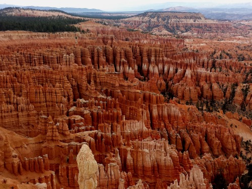 Bryce Canyon