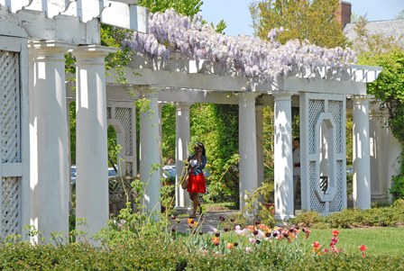 SU Pergola