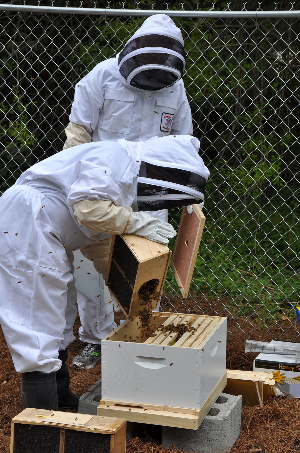 SU Beekeeping 