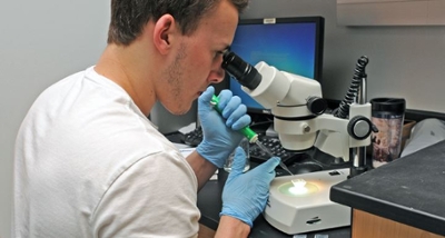 SU student using a biomicroscope