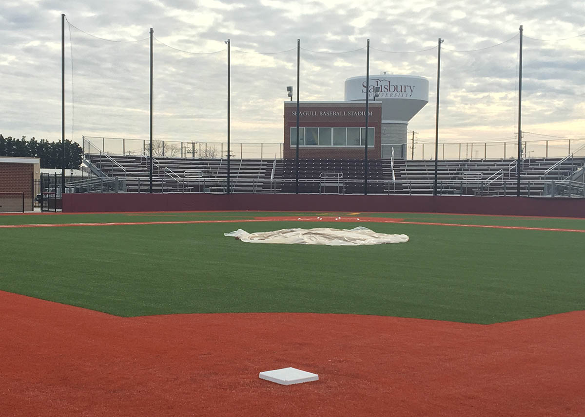 Baseball Stands