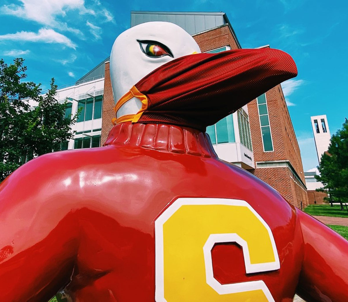 2019 Corpus Christi Hooks Sammy The Seagull Mascot