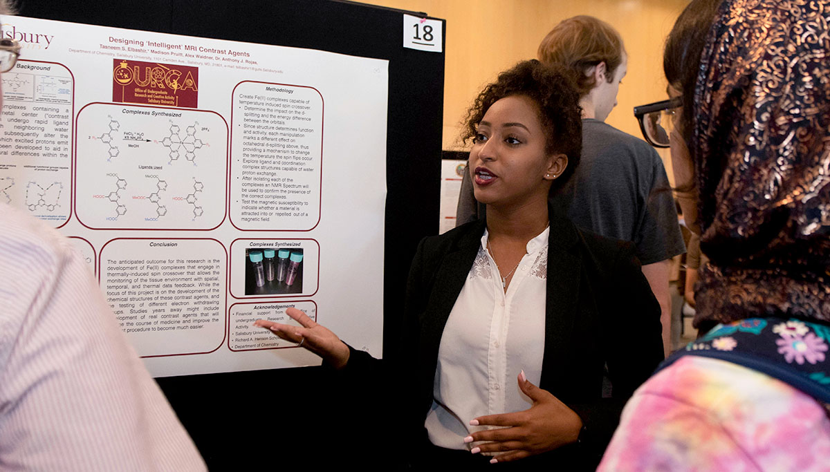 Summer Student Research Showcase