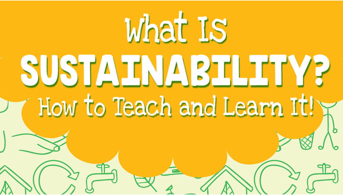 Text: What is sustainability
