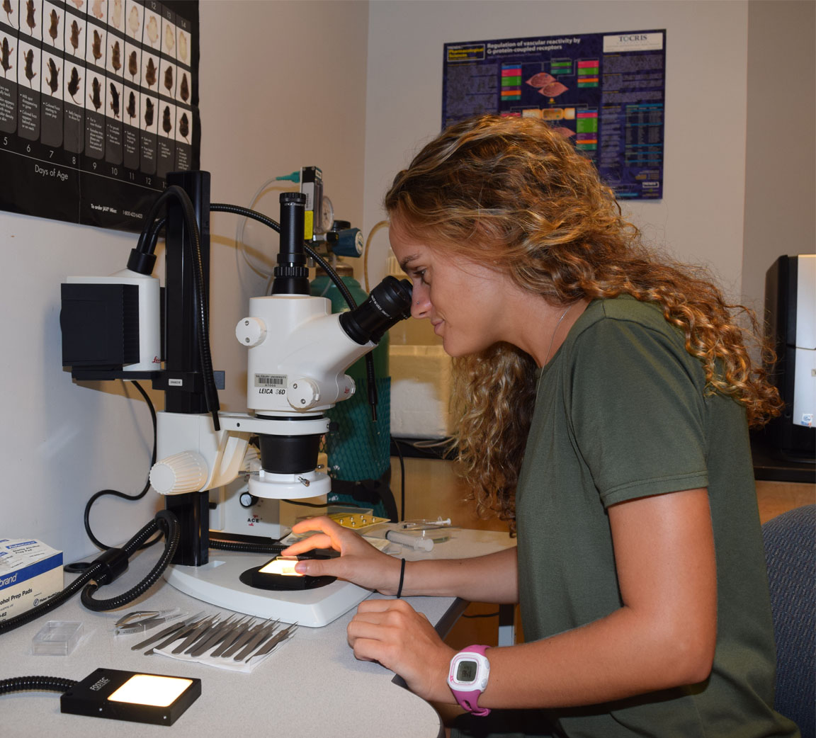 Biology student in lab viewing microscope