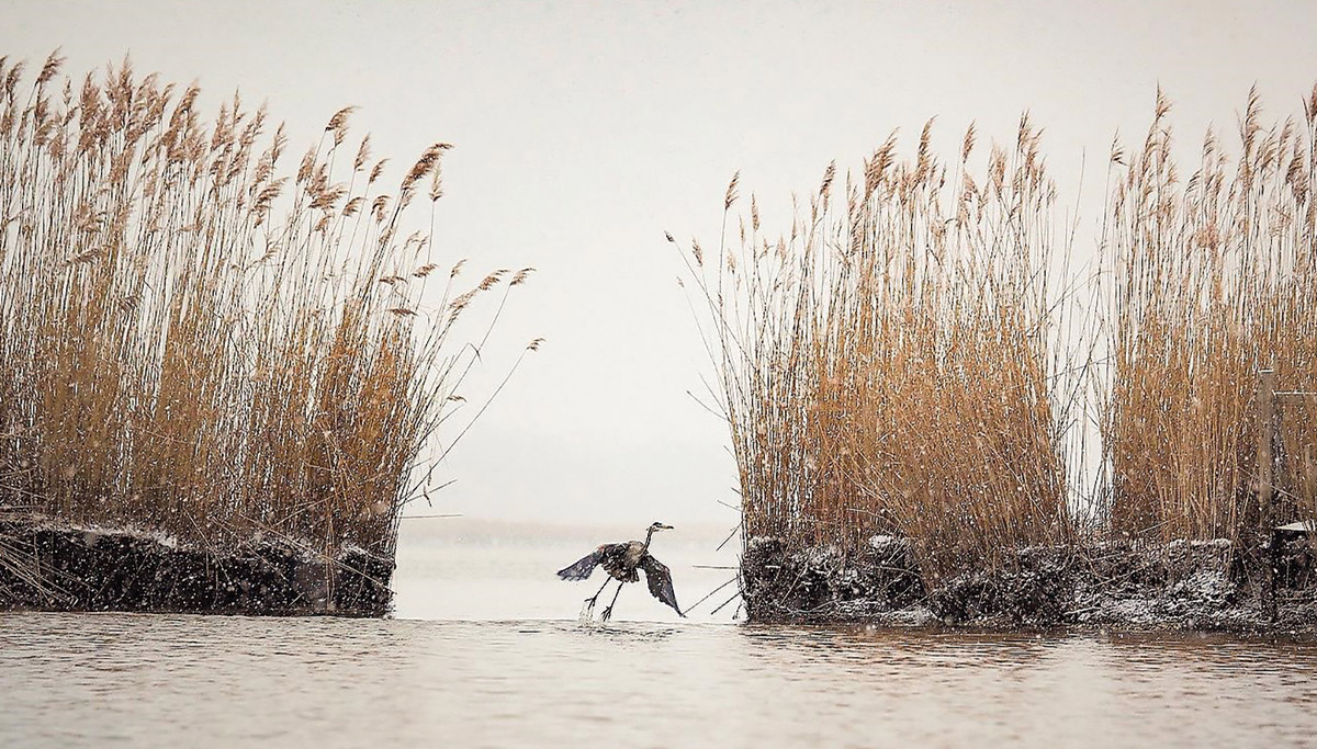 12 14 2021 SU Exhibit Features Chesapeake Photography By David Harp 