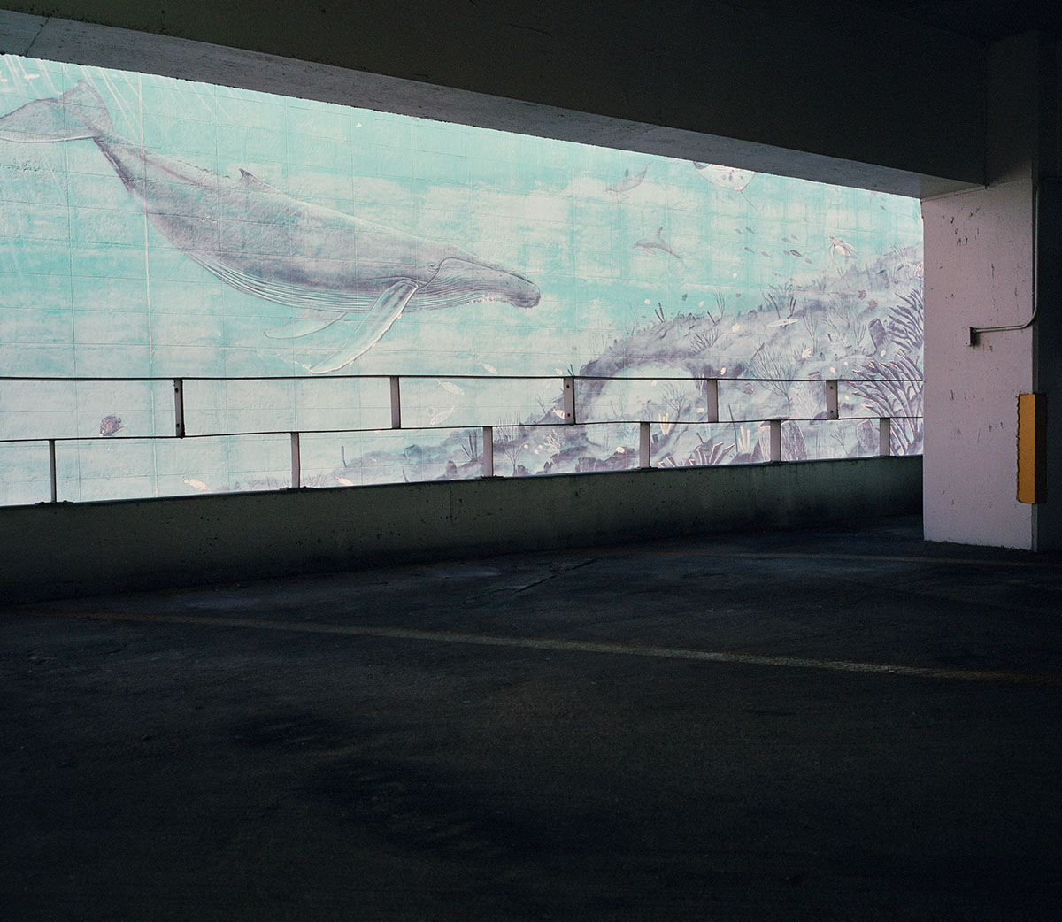 mural of whale