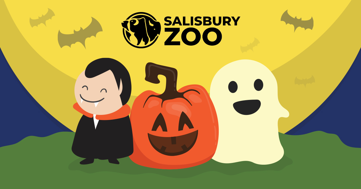 SU, Salisbury Zoo Host Sensory-Friendly Halloween Event
