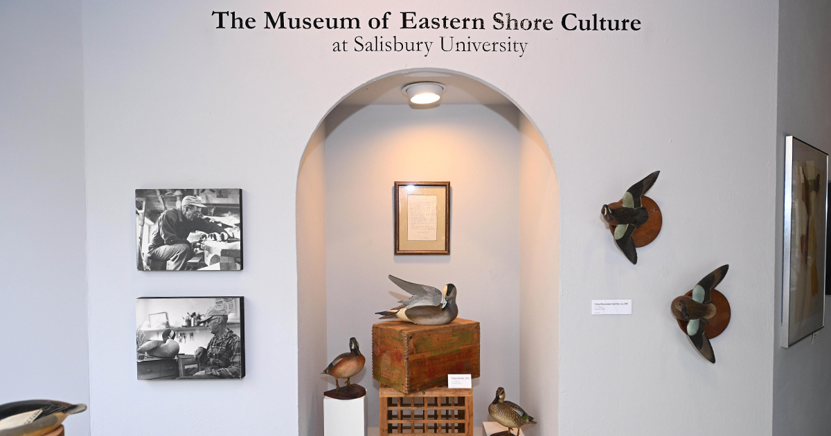 SU's Museum of Eastern Shore Culture Holds Poster Contest