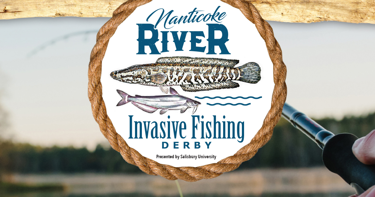 ˶Hosts Annual Nanticoke River Invasive Fishing Derby July 19